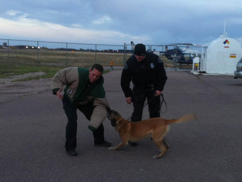 colorado-springs-police-k9