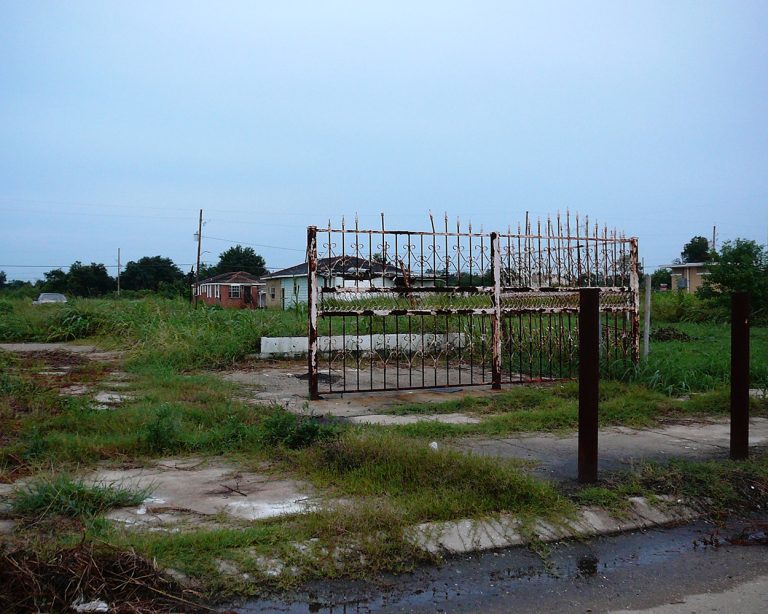 lower ninth ward front yard
